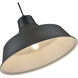 R Series 1 Light 17 inch Satin Black Indoor Pendant Ceiling Light